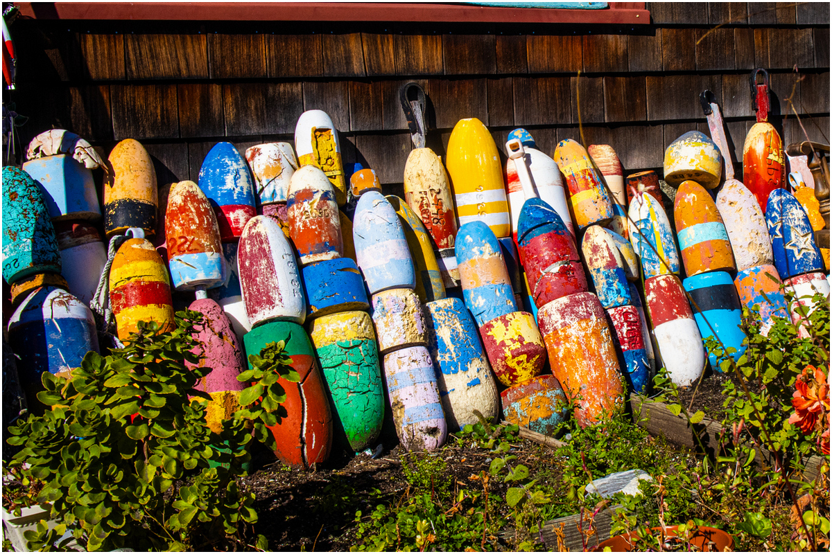 DeCristofaro Janet Lobster Buoys Pictorial   Class B 20260121